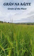 Load image into Gallery viewer, GRÁN NA hÁITE - 1/30th of a 128L Oloroso Cask Share - Cask GNA-FOIW - Filled 05/06/23