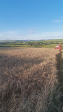 Load and play video in Gallery viewer, GRÁN NA hÁITE - 1/30th of a 128L Oloroso Cask Share - Cask GNA-FOIW - Filled 05/06/23
